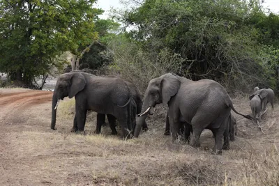 DSC_4088 (Large).JPG